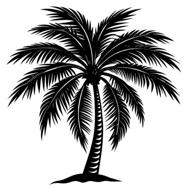 Palmiye Ağacı Silüeti Çizim Tasarımı