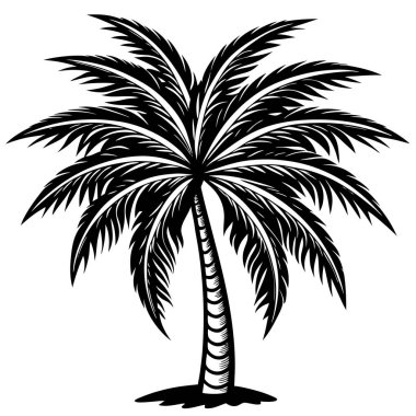 Palmiye Ağacı Silüeti Çizim Tasarımı
