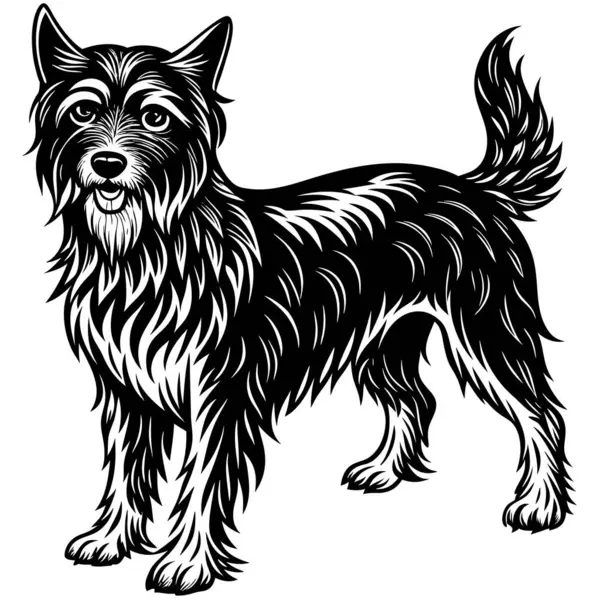 Ayrıntılı Siyah-Beyaz Köpek Resimleri
