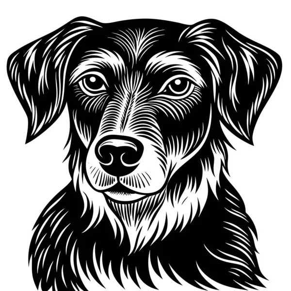 Ayrıntılı Siyah-Beyaz Köpek Resimleri