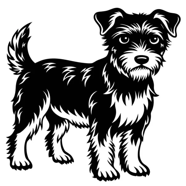 Ayrıntılı Siyah-Beyaz Köpek Resimleri