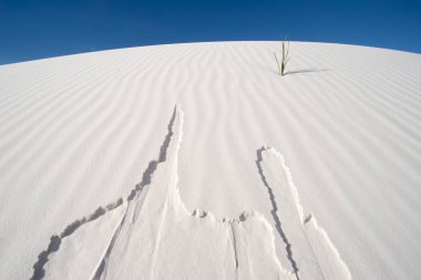 Çöl kayan kum kalıplarının karmaşık güzelliğini keşfedin: Dengedeki kaos - Bir anlık dengesizlik
