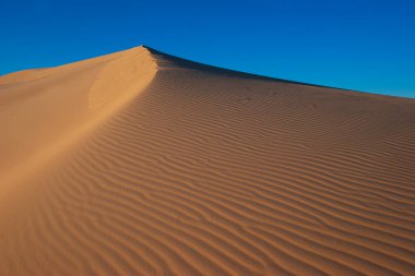 Çöl kumlarının karmaşık güzelliğini keşfedin: rüzgar ve zamanın şekillendirdiği doğal bir sanat eseri