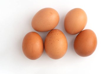 Dondurucudan soğuk tavuk yumurtası. Kabuğunda su buharlaşması var. Beyaz arka planda.