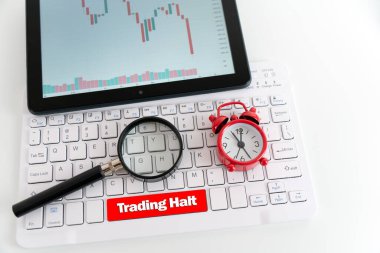 Borsa alışverişi 30 dakika durduruldu. Bu durum, borsa endeksinin bir günde keskin bir 5 düşüş yaşaması sonrasında yaşandı ve daha fazla dengesizliği önlemek ve yatırımcıların piyasa koşullarını yeniden değerlendirmelerine olanak sağlamak için devre kesici protokollerini tetikledi.