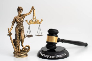 Adalet Anıtı bir tokmağın yanında 'Masumiyet Karinesi' veya 'Suçu Kanıtlanana Kadar Masumiyet' yazılı, adaleti ve yargı sürecini sembolize ediyor.