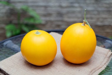 Çuval bezinde dinlenen iki olgun altın kavun: Tatlılığın Doğal Dokunuşu