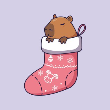 Noel çorabının içinde şirin bir Capybara. Vektör illüstrasyonu