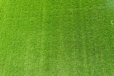 Dikişsiz yeşil çim arka plan