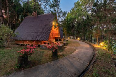 Mimari ahşap ev, çam ormanlarında aydınlık.
