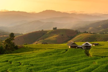 Chiangmai, Tayland için günbatımı sırasında bir fotoğrafçı almak güzel pirinç teerace adımında bir resim yazısı