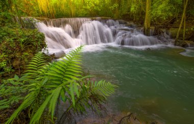 Huay Mae Kamin Şelalesi, sonbahar ormanlarındaki güzel şelale, Kanchanaburi, Tayland