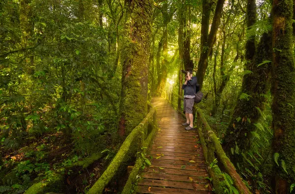 Turistler fotoğraf çekiyorlar. Evergreen Ormanı 'nda ve güneş parlaklığında. Tayland' daki Doi Inthanon Milli Parkı 'nda, ang Ka Doi Doğa Yolu' nda.