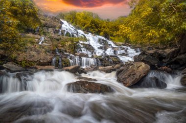 Ormanda güzel bir şelale