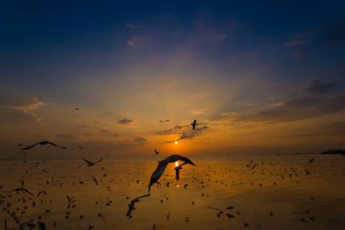 Gölde güzel bir gün batımı