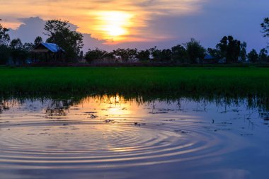 Gölün üzerinde güzel bir gün batımı