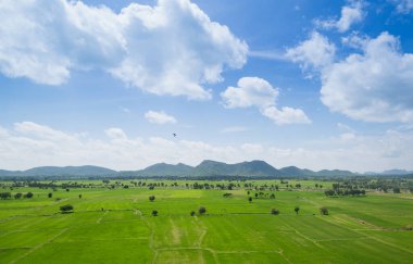 Mavi gökyüzünün arka planında bir alan