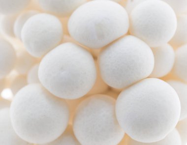 Yakın çekim beyaz shimeji mantar