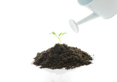 Beyaz arka plan üzerinde izole bir Fide olarak su dökme bir sulama olabilir