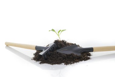 Fide büyüyen ve kürek ve komisyon beyaz