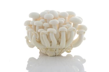 White shimeji mushroom isolated on white background clipart