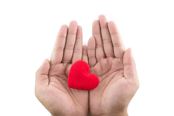ayrı tutma beyaz zemin üzerine kırmızı bir kalp el ele tutuşur