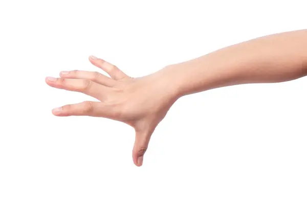 İnsan eli seçerken beyaz arkaplanda izole et