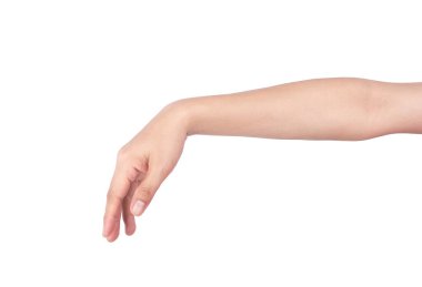 Kadının eli, bir şeyleri seçerken bir jest gösteriyor. Beyazları izole ediyor..