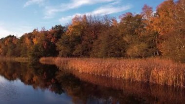 Sonbahar renklerinde göl kıyısı. Salıncakta sonbahar, solgun ağaçlar.