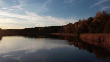 Sonbahar renklerinde göl kıyısı. Salıncakta sonbahar, solgun ağaçlar.