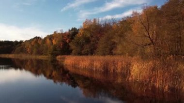 Sonbahar renklerinde göl kıyısı. Salıncakta sonbahar, solgun ağaçlar.
