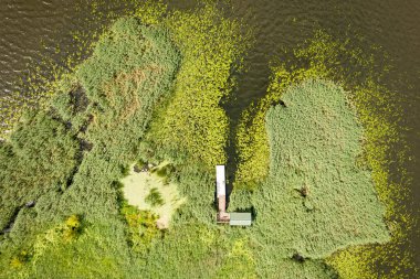 Yeşillik ve Gölü olan bir sahil yolunun havadan görünüşü. Dabie Gölü, Szczecin Polonya. 