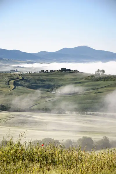 Misty Hills ile Toskana, İtalya 'da Yol