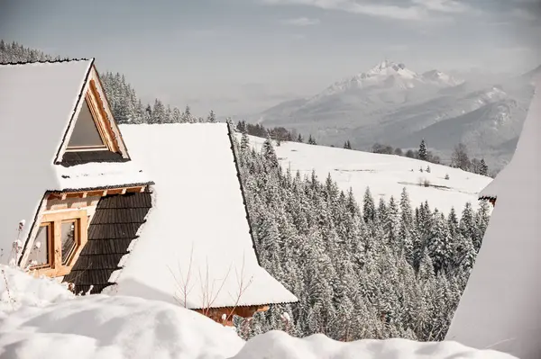 Karlı Kulübeler ve Uzak Tepeli Manzaralar. Zakopane Polonya.