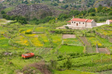 Peneda-Geres Ulusal Parkı 'ndaki Kilise ve Teraslı Alanlar, Portekiz