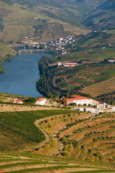 Douro Vadisi, Pinhao Portekiz 'deki Nehir, Köy ve Teraslı Üzüm bağları