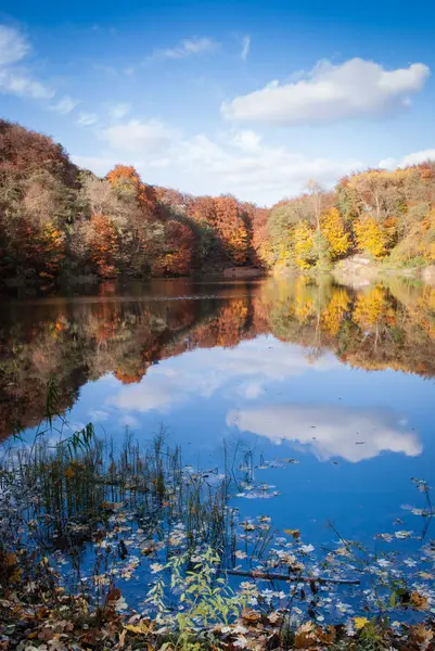 Renkli Ağaçlarla Sonbahar Gölü Yansıması