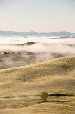 Misty Rolling Hills Toskana 'da, İtalya şafakta