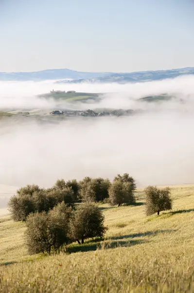 Misty Tuscan Tepeleri ve İtalya 'da bir Viraj Yolu