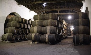 Portekiz Mahzeninde Şarap Varilleri, Porto Portekiz