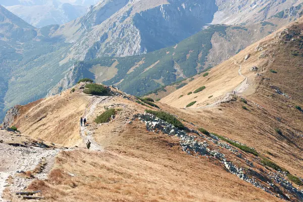 Panorama Manzaralı Dağ Yürüyüşçüleri - Zakopane Tatra Dağları