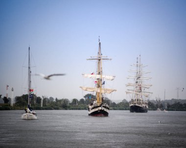 Sailing Ships on a River with Gulls clipart