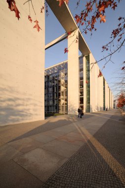 Sonbahar Yaprakları ve Güneş Işıklı Modern Mimari