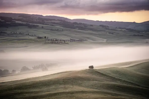 Puslu Toskana Tepeleri ve Ağacı Val Dorcia