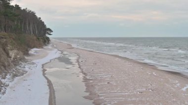 Kıyı Ormanı ile Kış Sahil Manzarası