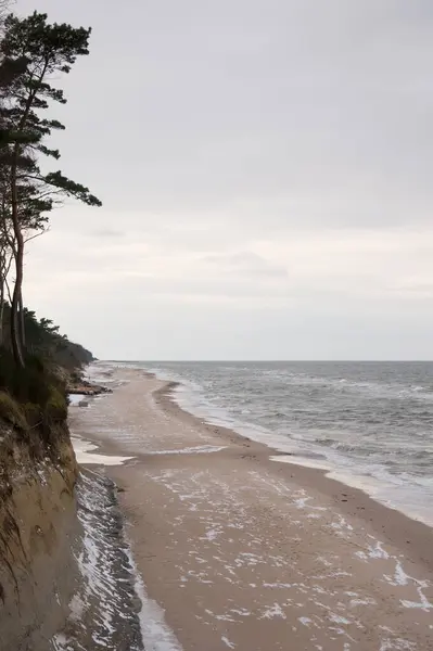 Kıyı Ormanı ile Kış Sahil Manzarası