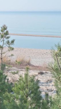Trees ve Sandy Coastline, Baltık Denizi. Miedzyzdroje Polonya.