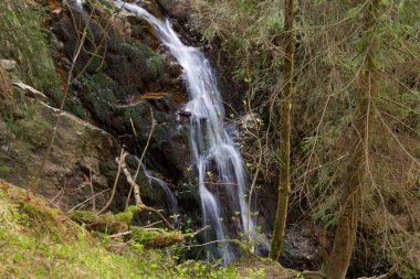 Ormandaki yosunlu kayaların üzerinden geçen bir şelalenin güzel uzun pozlama sahnesi. Huzurlu bir atmosferi var..