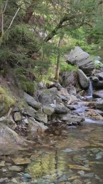 Ormandaki Kayaların Üzerindeki Dağ Akıntısı