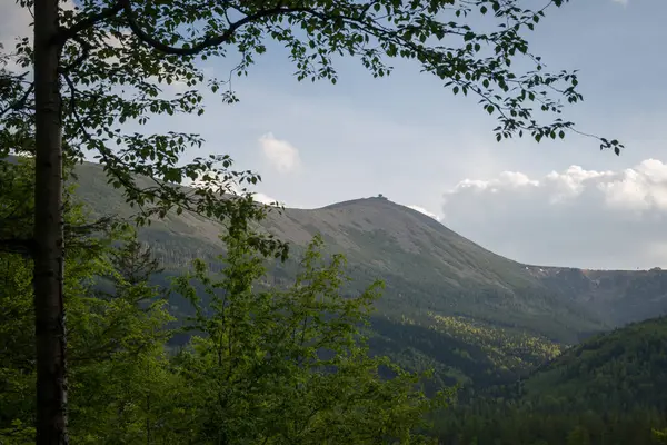 Polonya 'nın Karkonosze Dağları' nın (Dev Dağlar) en yüksek zirvesi olan Sniezka 'nın manzarası, Krucze Skaly bakış açısından görülmektedir.. 